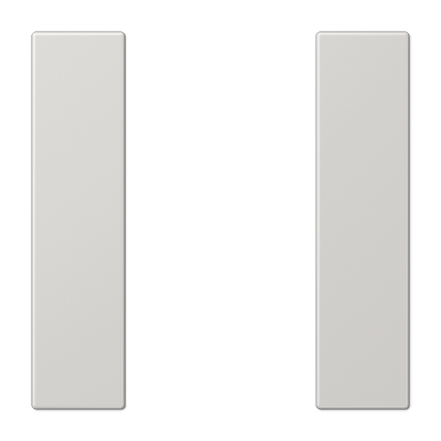 Lichtgrijs
