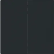 Busch Jaeger 6736 FoH-45M Busch-art linear Bedieningswip 2-voudig Smart Switch Zwart mat 