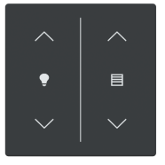 Busch Jaeger LFDW/A.2.63.11-81 Future Linear Afdekking 2-voudig wip voor keypad met symbool “Dimmen/Jaloezie" Antraciet