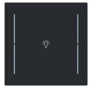 Busch Jaeger LFB/A.1.70.11-45M Busch-art linear Afdekking 1-voudig voor keypad met symbool “Verlichting” Zwart mat