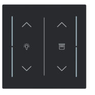 Busch Jaeger LFDW/A.2.70.11-45M Busch-art linear Afdekking 2-voudig wip voor keypad met symbool “Dimmen/Jaloezie" Zwart mat