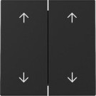 Gira 3297005 Systeem 55 Wip 2-voudig met pijlsymbool Zwart mat