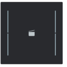 Busch Jaeger LFS/A.1.70.11-45M Busch-art linear Afdekking 1-voudig wip voor keypad met symbool “Scene" Zwart mat
