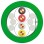 Leoni V45493-D49A159F2 EIB-KNX Gecertificeerd J-H(ST)2Y 2X2X0.8 GN (100 meter)