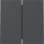 Gira 329528 Systeem 55 Wip 2-voudig Antraciet